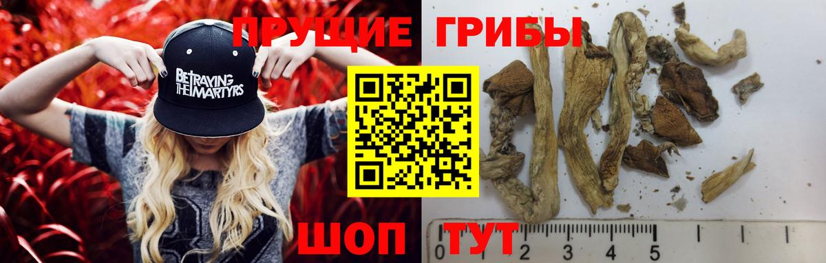 Кострома  Галлюциногенные грибы Magic Shrooms  Псилоцибиновые грибы Cubensis  Вход с VPN 
